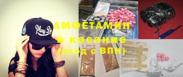 шишки Арсеньев