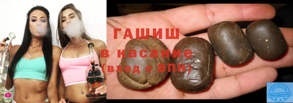 шишки Арсеньев