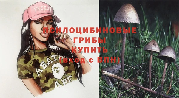шишки Арсеньев