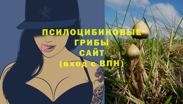 спайс Кулебаки