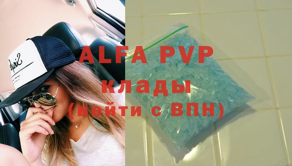 шишки Арсеньев